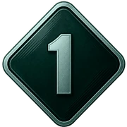 level image