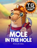Mole in the Hole